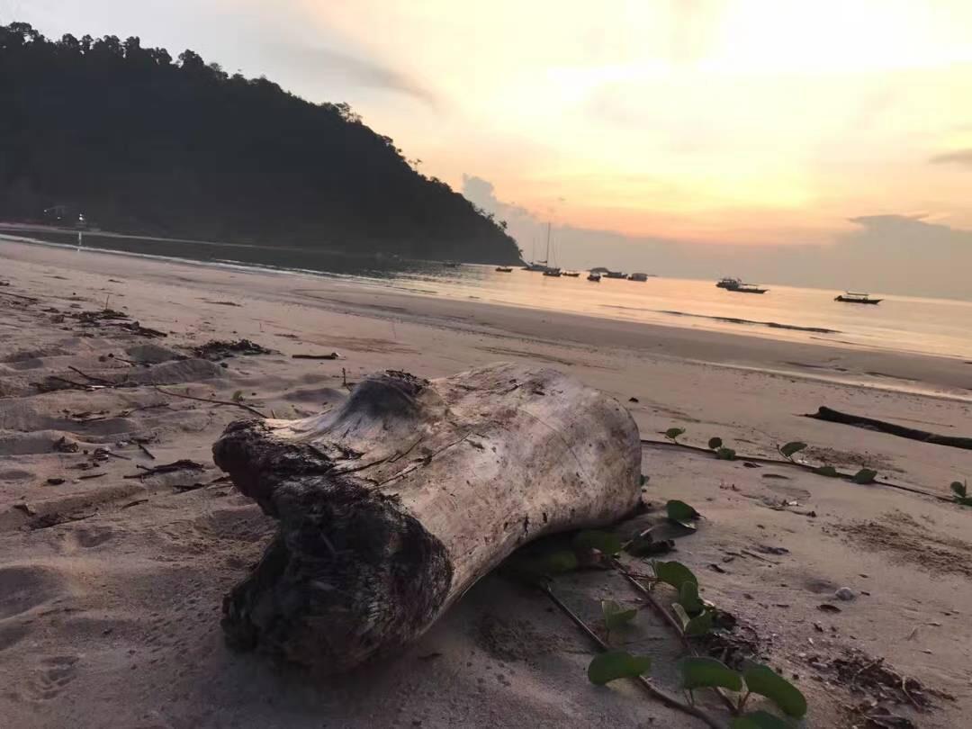 Juara Bay Resort Pulau Tioman Exterior foto